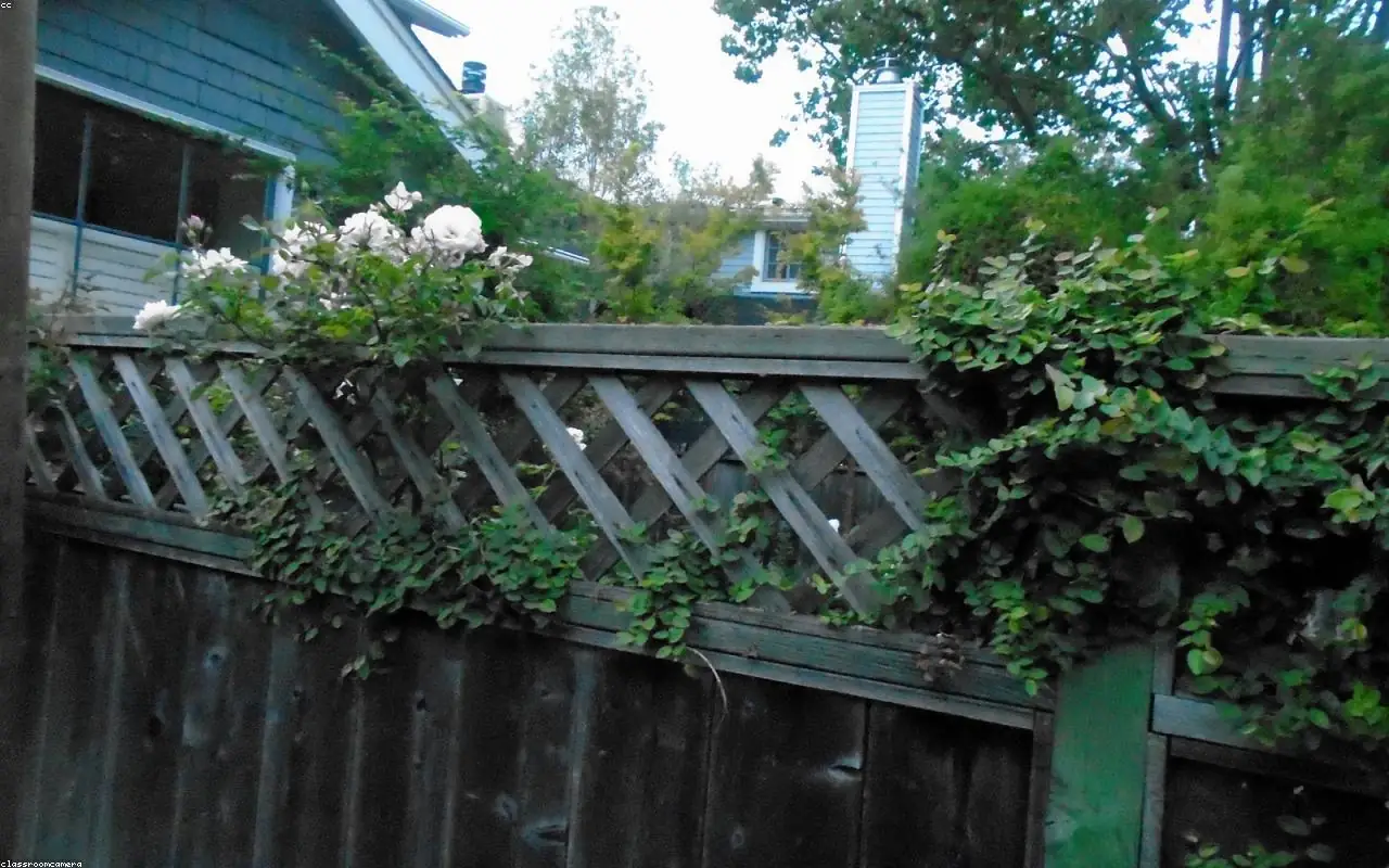 Beaverton fence installation crew building a wood backyard fence